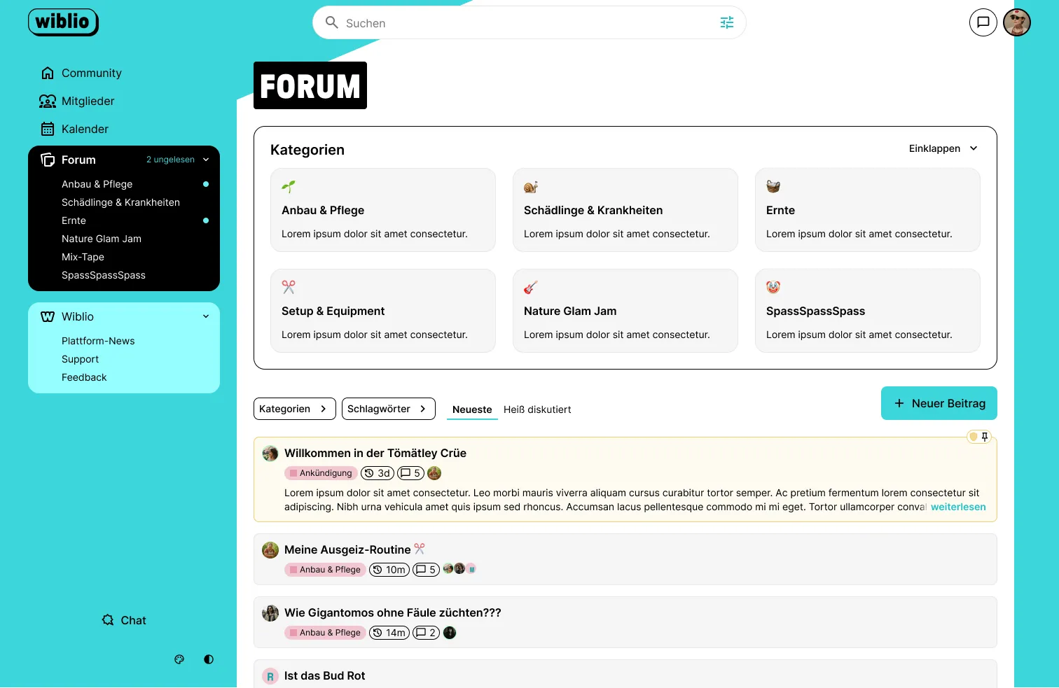Screenshot of the forum view of Wiblio.